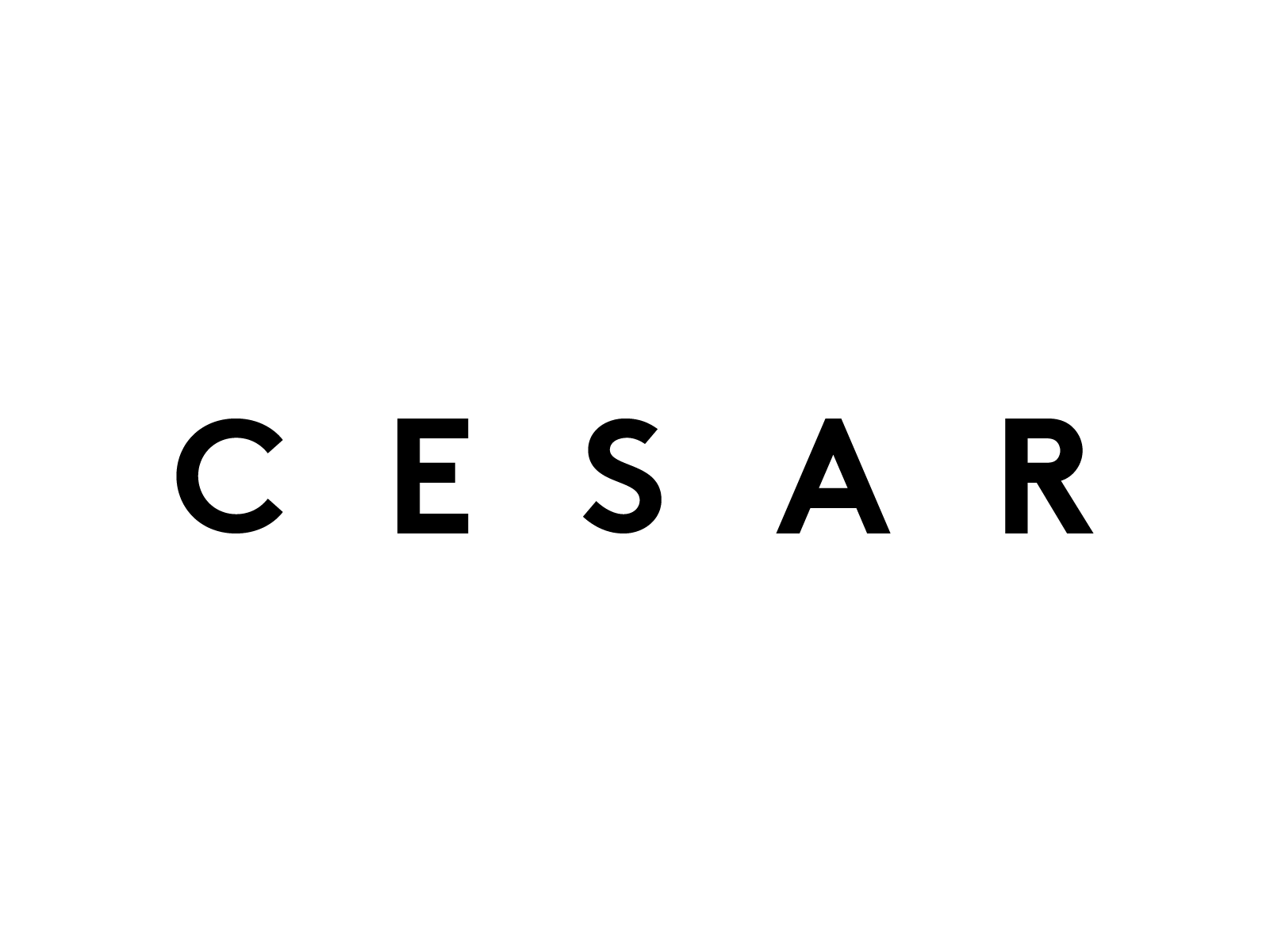 DDDesign partner - Cesar logo